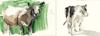 thumb_aquarelle-carnet-de-voyage-11.png