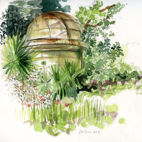thumb_aquarelle-jardin-des-plantes-montpellier-01.png