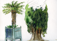 thumb_aquarelle-jardin-des-plantes-montpellier-03.png