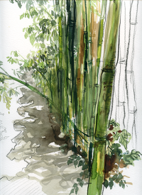 thumb_aquarelle-jardin-des-plantes-montpellier-06.png