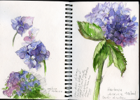 thumb_carnet-de-voyage-bretagne-08.png
