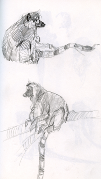 thumb_croquis-zoo-02.png