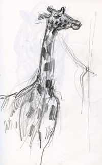 thumb_croquis-zoo-03.png