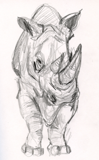 thumb_croquis-zoo-08.png