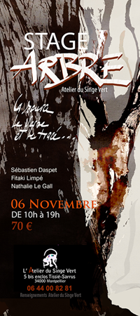thumb_affiche-de-stage-13.png