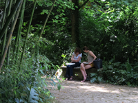 thumb_photos-de-stage-exterieur-11.png