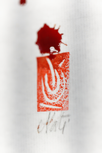 thumb_photos-de-stage-03.png