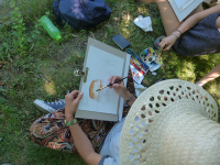 thumb_stage-croquis-jardin-des-plantes-montpellier03.png