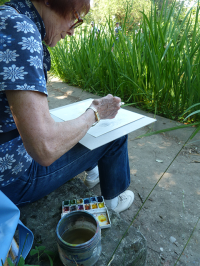 thumb_stage-croquis-jardin-des-plantes-montpellier04.png