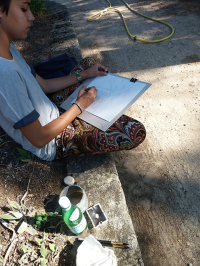 thumb_stage-croquis-jardin-des-plantes-montpellier07.png